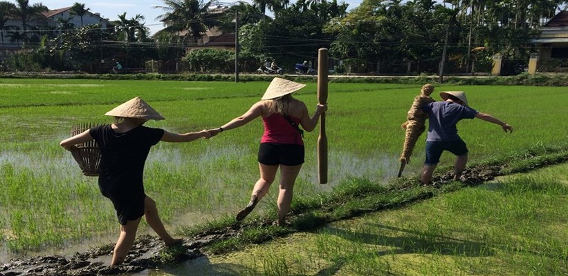Luxembourg to Vietnam Easy Travel and Visa Guide for Adventurers