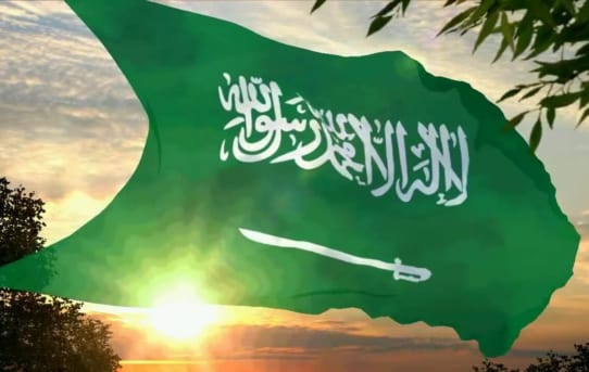 Applying Vietnam visa for Saudi Arabia citizens - طلب تأشيرة فيتنام في المملكة العربية السعودية