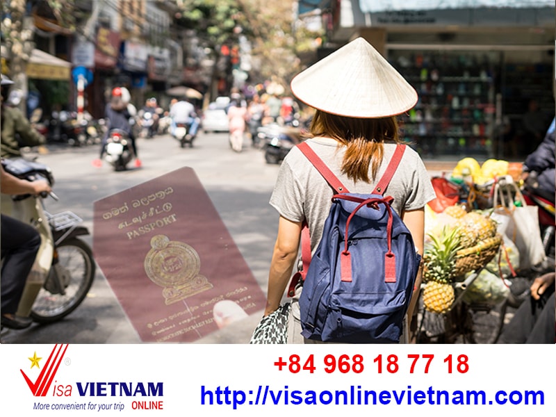 Embassy of Vietnam in Japan Services, Visa Application, Consular Services