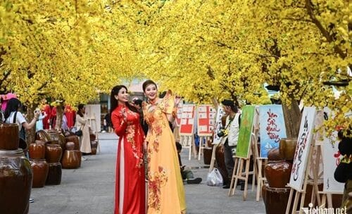 Experience the Vibrant Spirit of Vietnam Tet Festival 2026 for Tourists – Celebrate New Year Like Never Before!